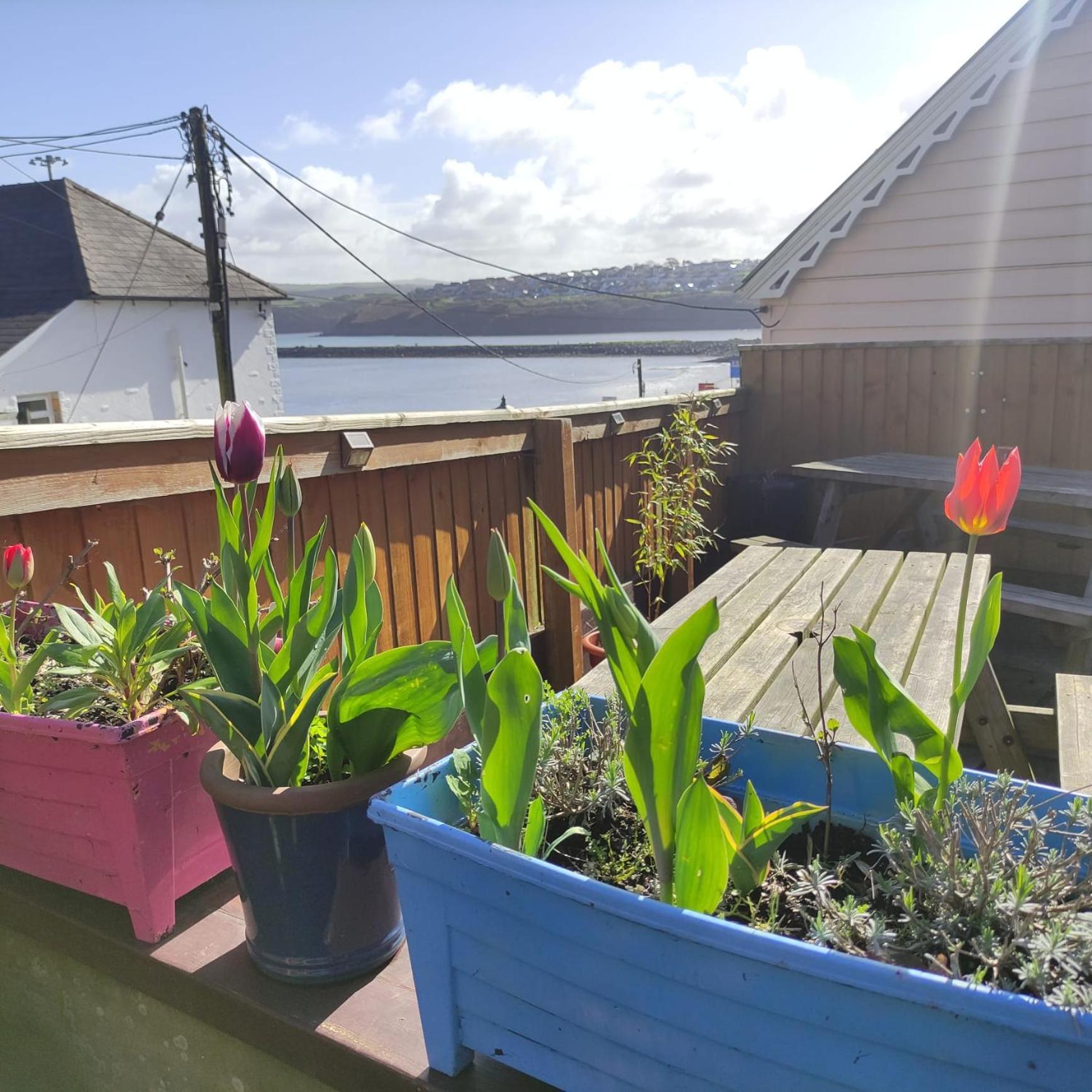 Rose And Crown Hotel & Hope And Anchor Bar Goodwick Exterior photo