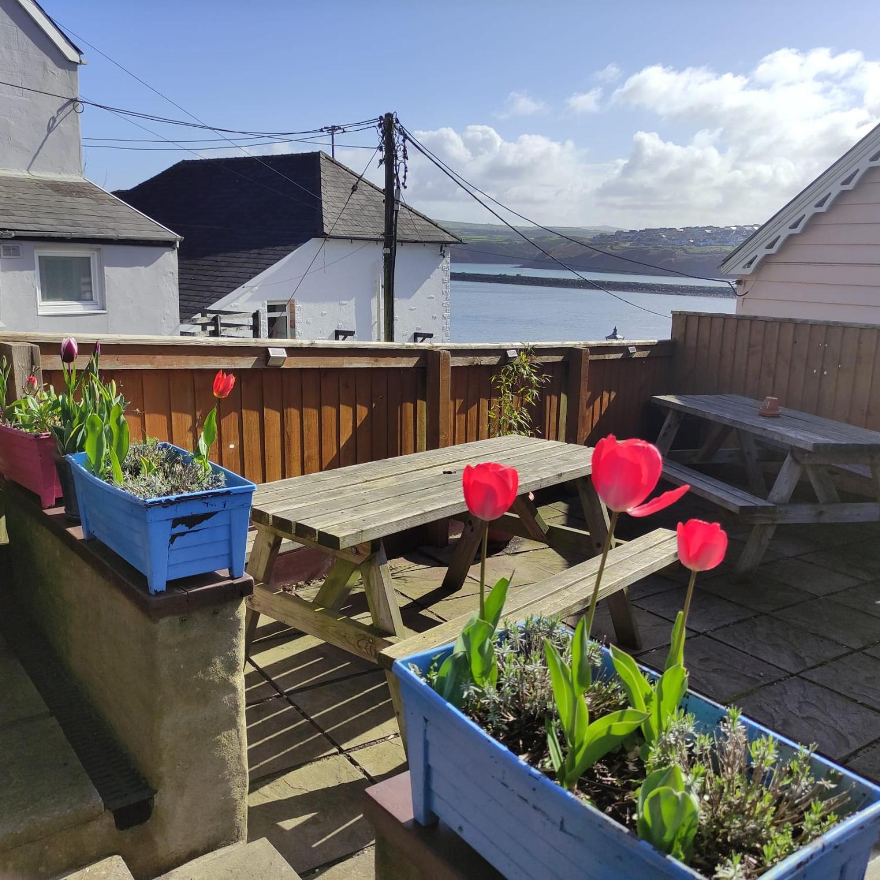 Rose And Crown Hotel & Hope And Anchor Bar Goodwick Exterior photo