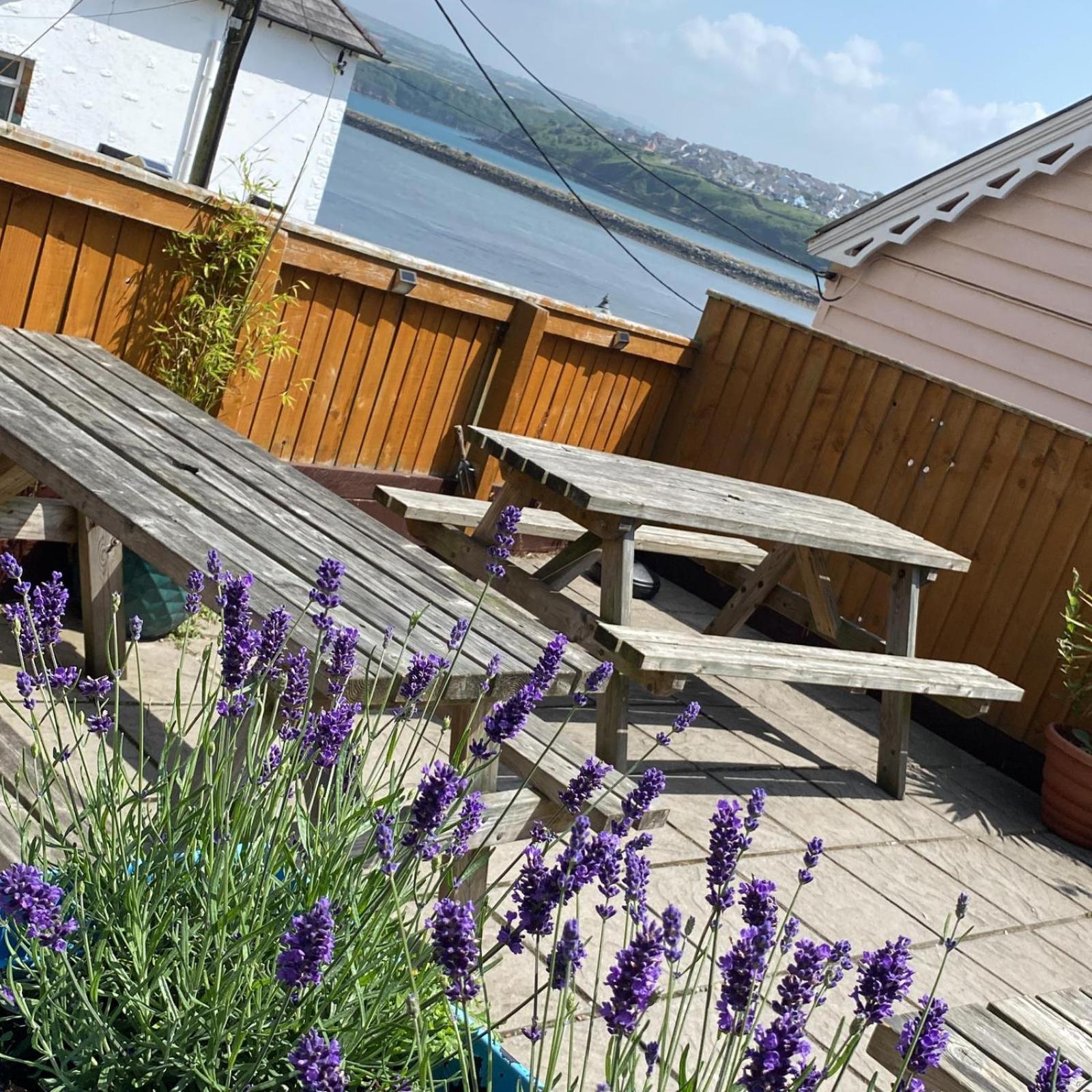 Rose And Crown Hotel & Hope And Anchor Bar Goodwick Exterior photo